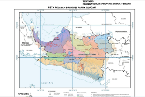 Pemerintah Apresiasi Upaya Terobosan Pembangunan Papua Tengah