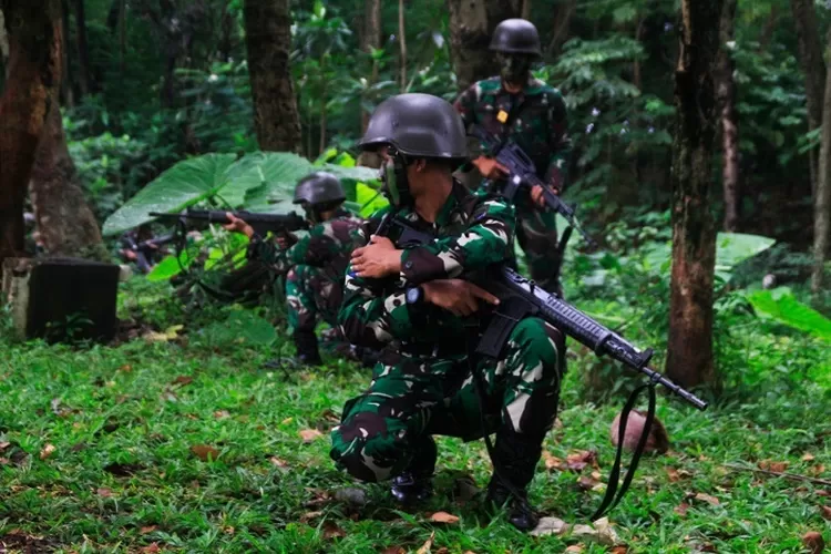 Mengapresiasi Tindakan  Tegas Aparat Keamanan pada OPM Demi Kedamaian Papua