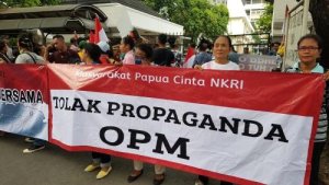 Waspadai  Provokasi OPM dan Ciptakan Stabilitas Keamanan  di Puncak Jaya