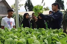 AMANAH Cetak Generasi Muda yang Mampu Tunjukkan Kontribusi Positif untuk Daerah