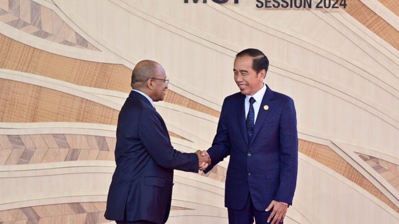 Penguatan Kerjasama Global Capaian Penting HLF-MSP dan Indonesia-Africa Forum II di Bali