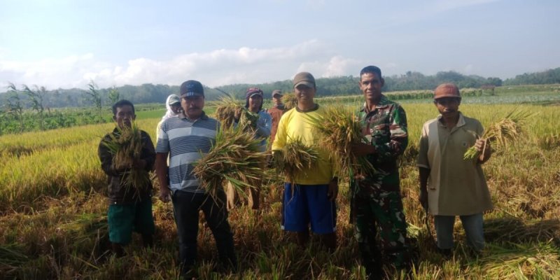 Pemerintahan Prabowo Gibran Pastikan Kawal Isu Ketahanan Pangan dan Kesehatan Masyarakat