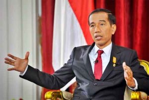 Presiden Jokowi Bawa Indonesia ke Era Keemasan Ekonomi: Capaian Gemilang di tengah Ketidakpastian Global