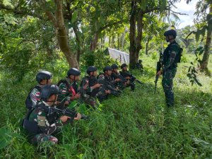 Dukung Penuh Aparat Keamanan Lawan OPM, Wujudkan Stabilitas di Papua