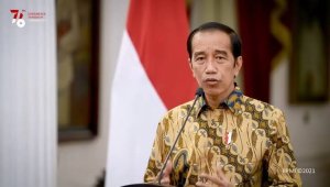 Pemerintahan Presiden Jokowi Terus Serukan Pilkada Damai dan Demokratis